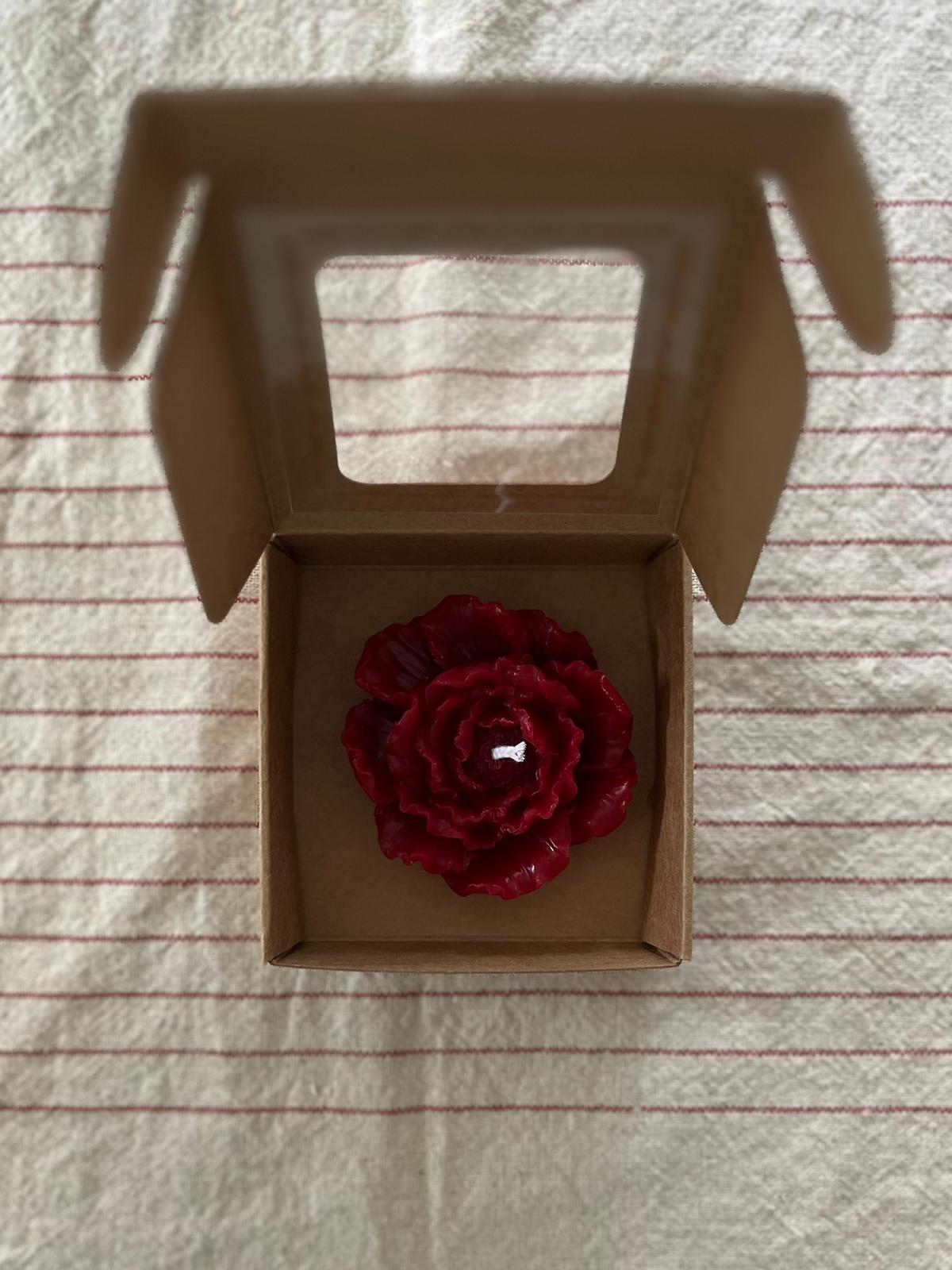Beeswax red mini peony