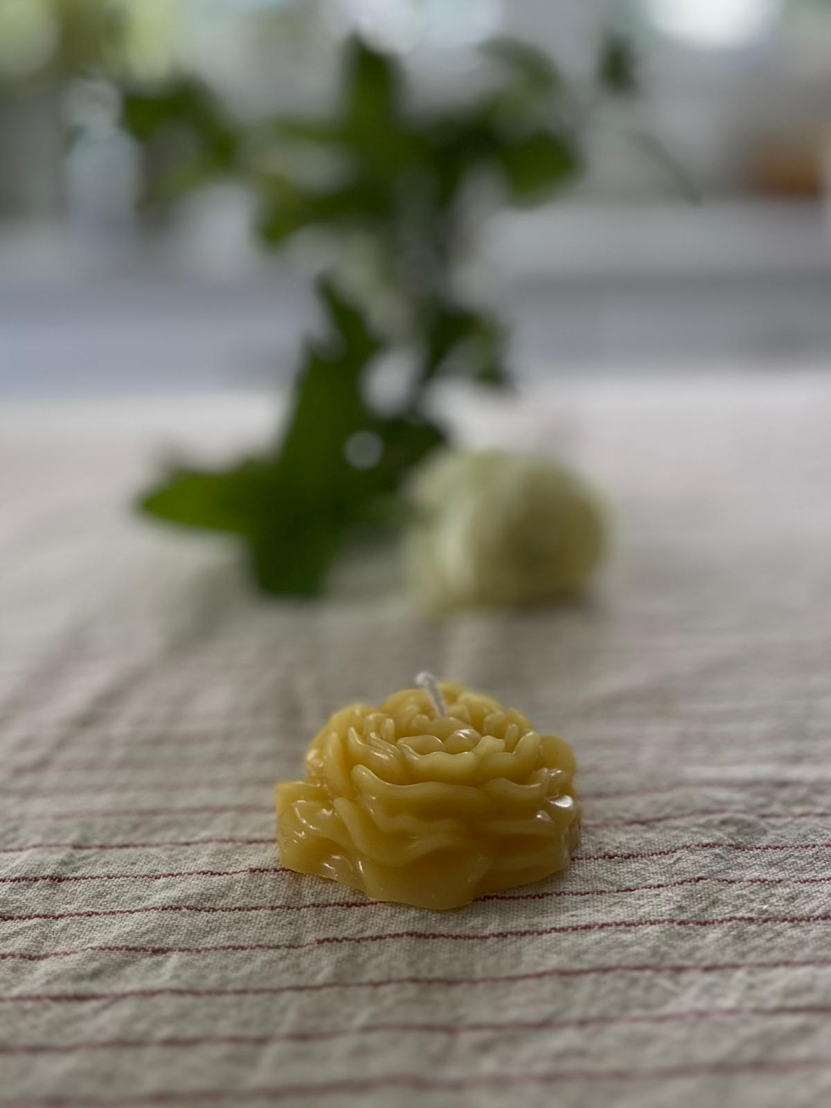 Gardenia mini beeswax candle