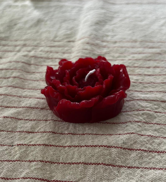 Beeswax red mini peony